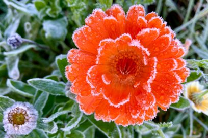 Adventst&uuml;rchen am 15.12.2025 um 18 Uhr